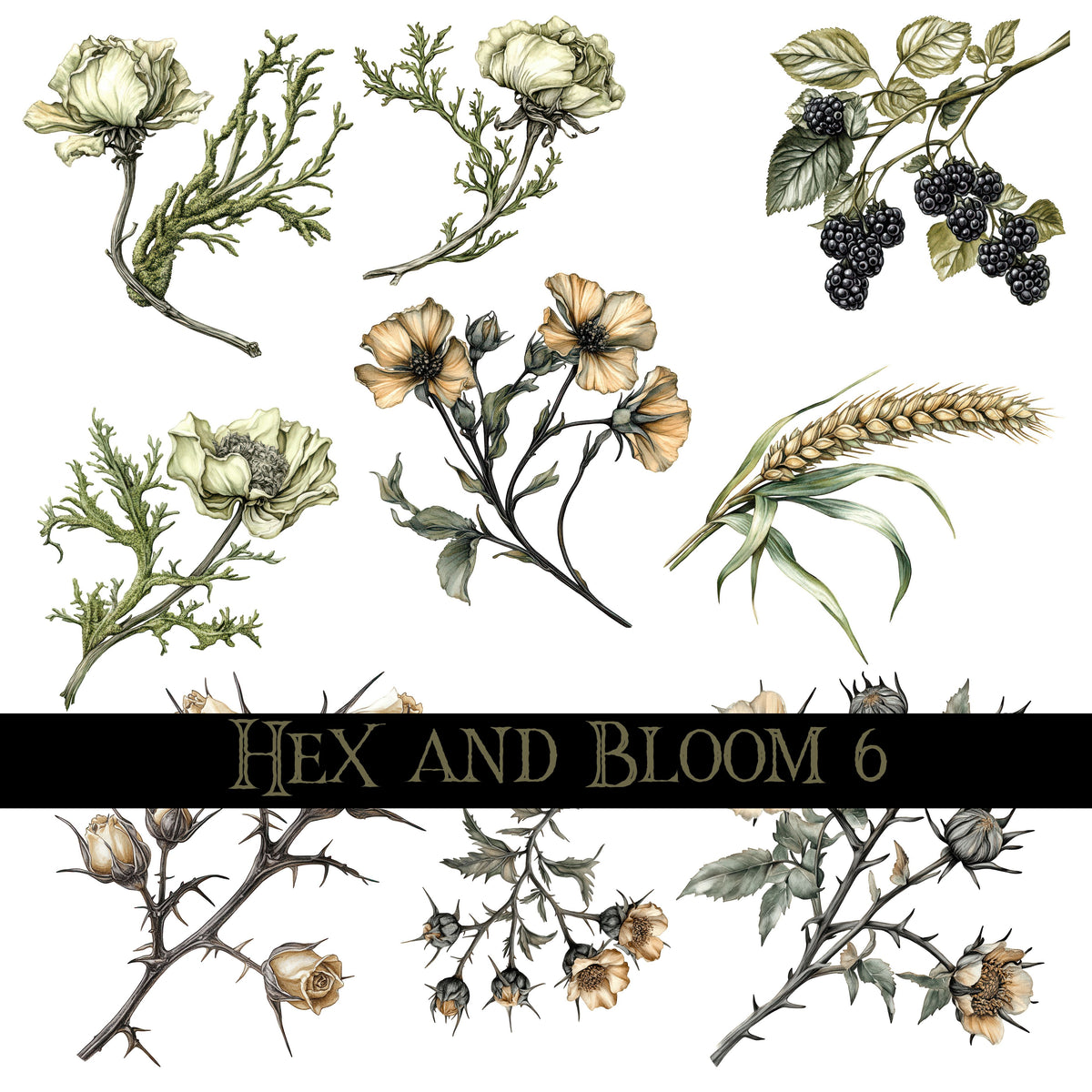 Hex and Bloom Collection Decal sheets- 8 styles