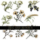 Hex and Bloom Collection Decal sheets- 8 styles