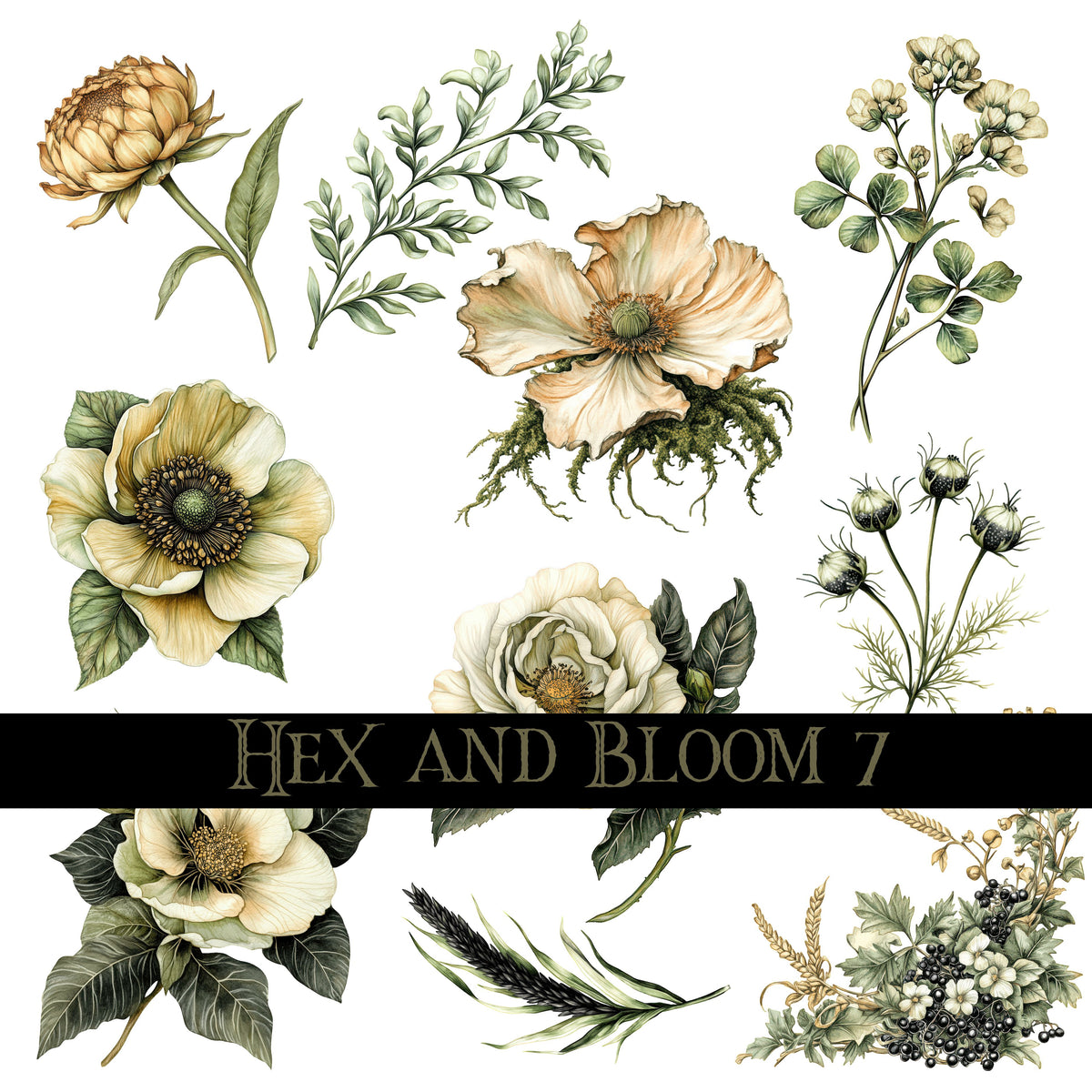 Hex and Bloom Collection Decal sheets- 8 styles