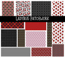 Ladybug Doodle Patchwork Set