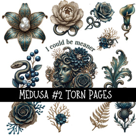 Medusa Torn Pages UV DTF Decal sheets 3 designs available