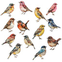 Mixed Media Birds UV DTF Decal sheet