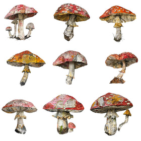 Mixed Media Mushrooms UV DTF Decal sheet