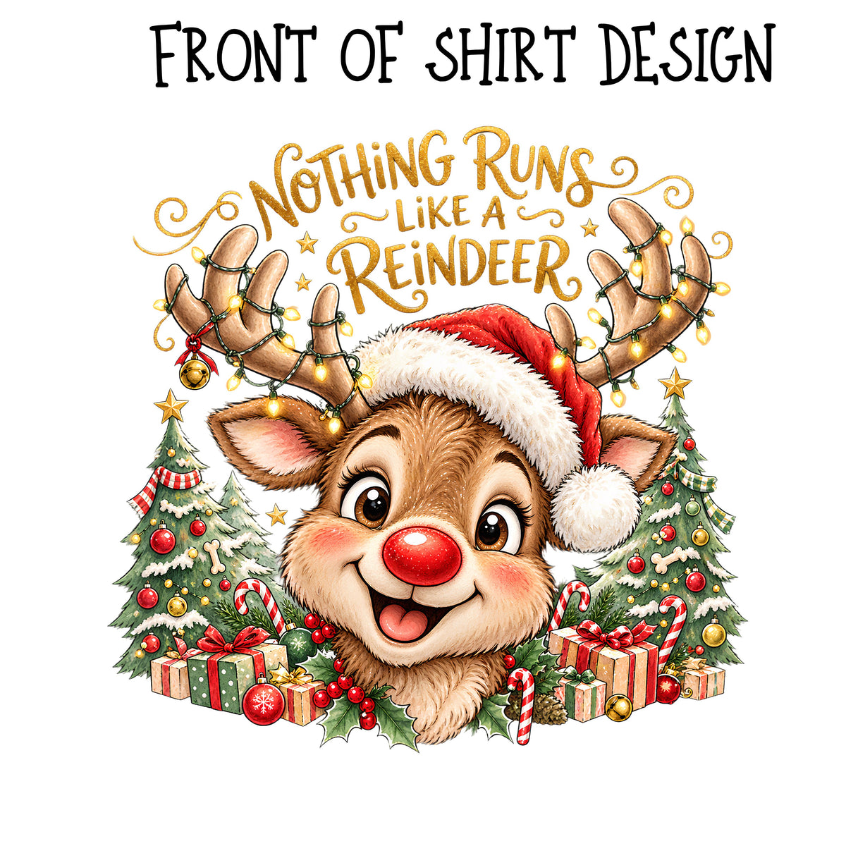 Nothing runs like a reindeer DTF Transfers 2pc set