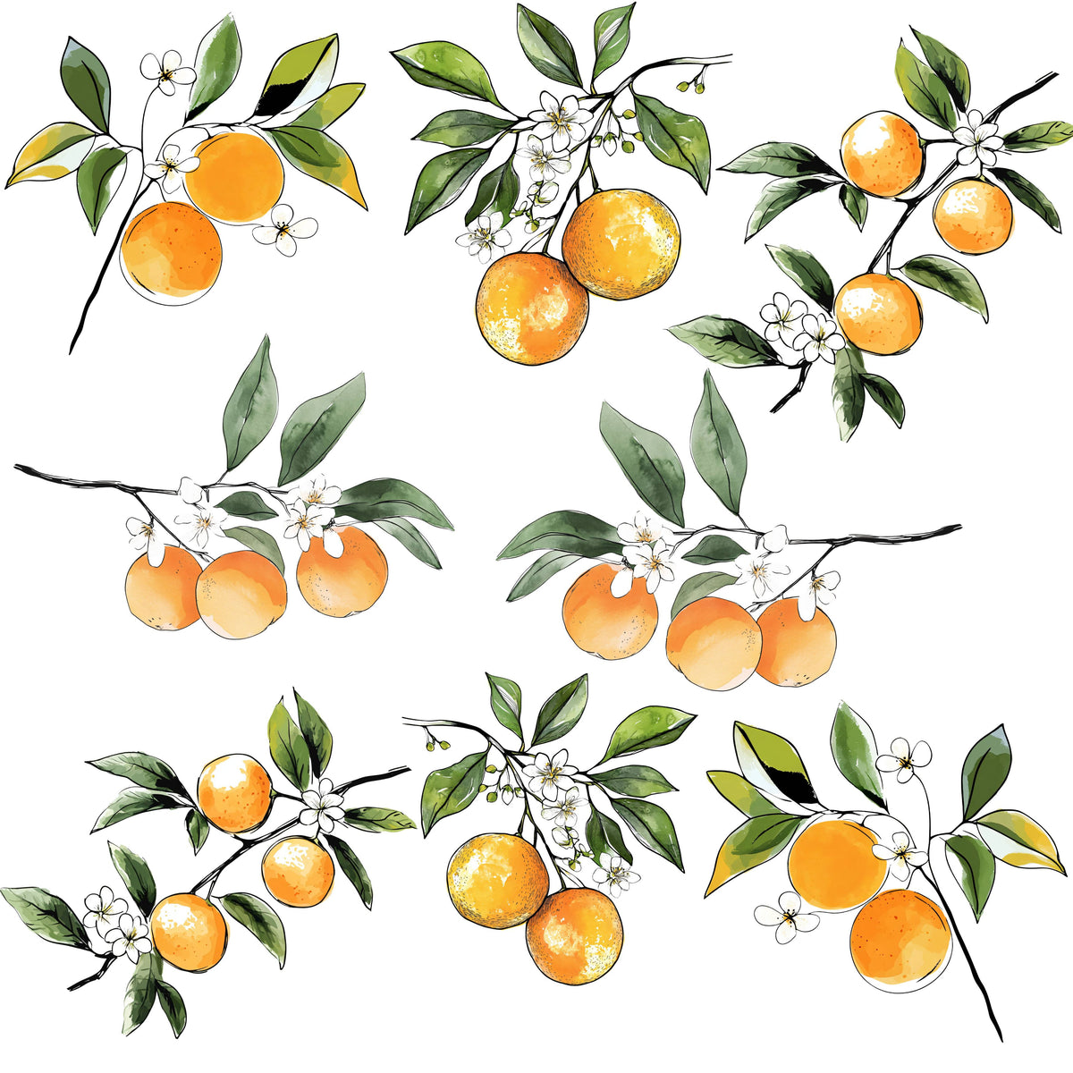 Oranges UV DTF Decal sheet