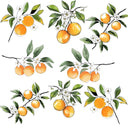 Oranges UV DTF Decal sheet