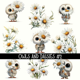 Owl and daisies UV Decal sheets 2 to choose from