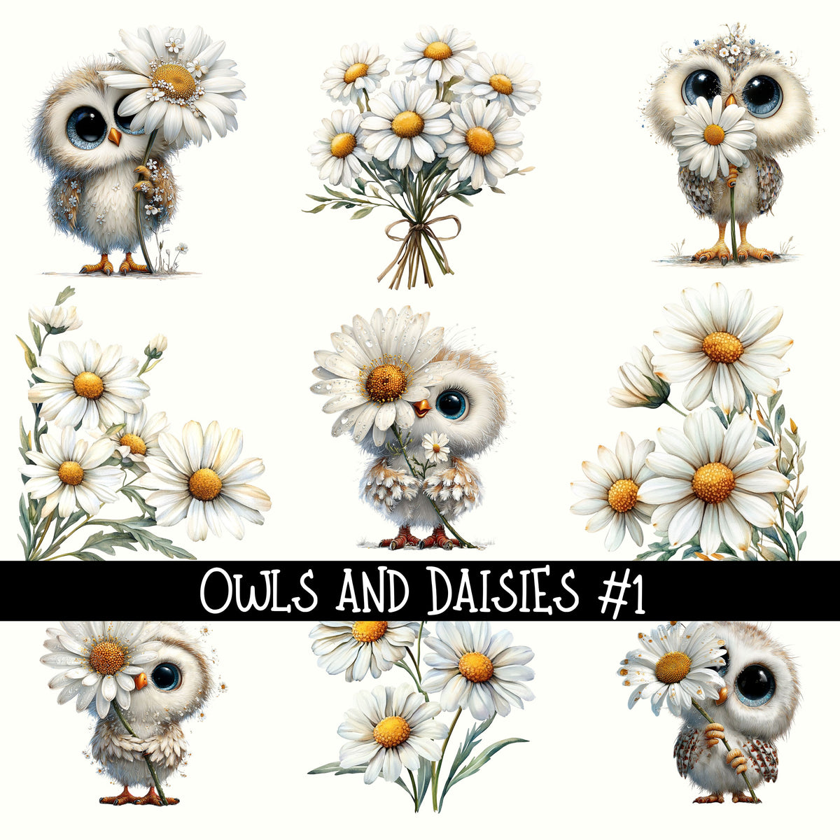 Owl and daisies UV Decal sheets 2 to choose from