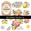 Pink Lemonade Torn Pages UV DTF Decal sheets 5 designs available