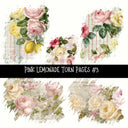 Pink Lemonade Torn Pages UV DTF Decal sheets 5 designs available