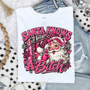Santa Knows I've been a Bitch DTF Transfers