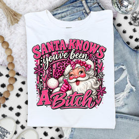 Santa Knows you've been a Bitch DTF Transfers