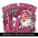 Santa Knows I've been a Bitch UV DTF Decal