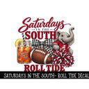 Saturday's in the south- Roll Tide UV DTF Decal