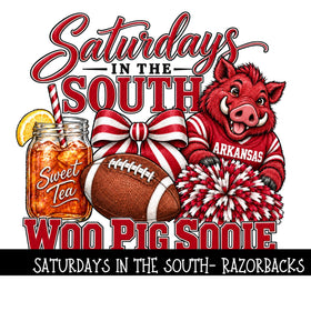 Saturday's in the south- Razorbacks UV DTF Decal