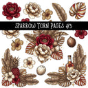 Sparrow Torn Pages UV DTF Decal sheets 5 Designs available