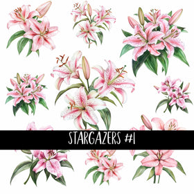 Stargazers Collection 2 UV Decal sheets to choose from