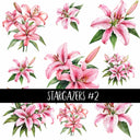 Stargazers Collection 2 UV Decal sheets to choose from