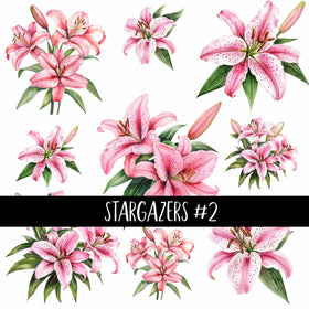 Stargazers Collection 2 UV Decal sheets to choose from