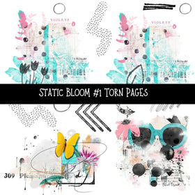 Static Bloom Torn Pages UV DTF Decal sheets 10 designs available