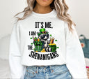 Shenanigans DTF Transfers