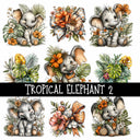 Tropical Elephant UV Decal sheets 2 to choose from