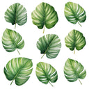 Tropical Leaves #1 UV DTF Decal sheet