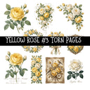 Yellow Rose Torn Pages UV DTF Decal sheets 8 Designs available
