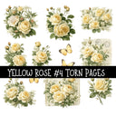 Yellow Rose Torn Pages UV DTF Decal sheets 8 Designs available
