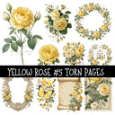 Yellow Rose Torn Pages UV DTF Decal sheets 8 Designs available