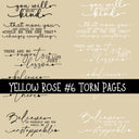 Yellow Rose Torn Pages UV DTF Decal sheets 8 Designs available