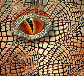 Dragon Eye Vinyl wrap 20oz straight