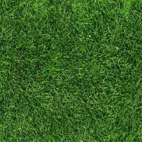 Grass - Adhesive Vinyl