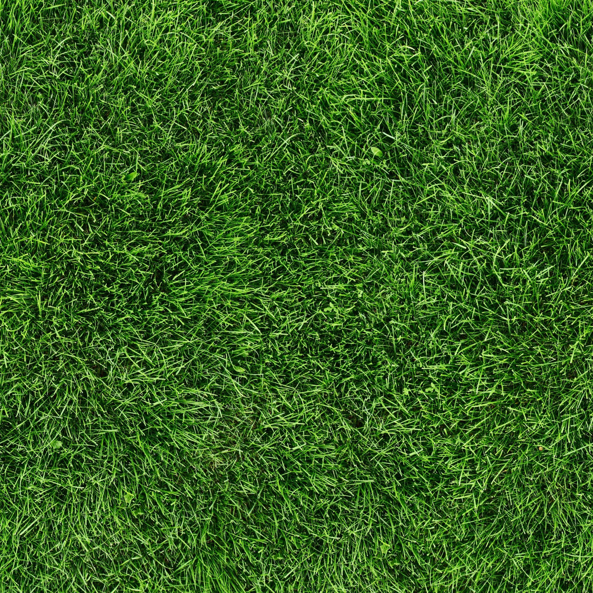 Grass - Adhesive Vinyl