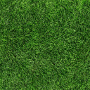 Grass - Adhesive Vinyl
