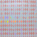 #81 Holographic Harlequin 8 Colors