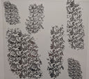 #133 tooled leather patches Metalliic 3 color options (Copy)