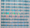 #81 Holographic Harlequin 8 Colors