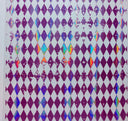 #81 Holographic Harlequin 8 Colors