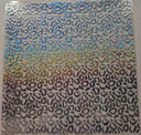 #109 Leopard Sand Holographic