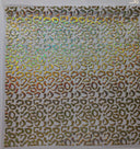 #109 Leopard Sand Holographic