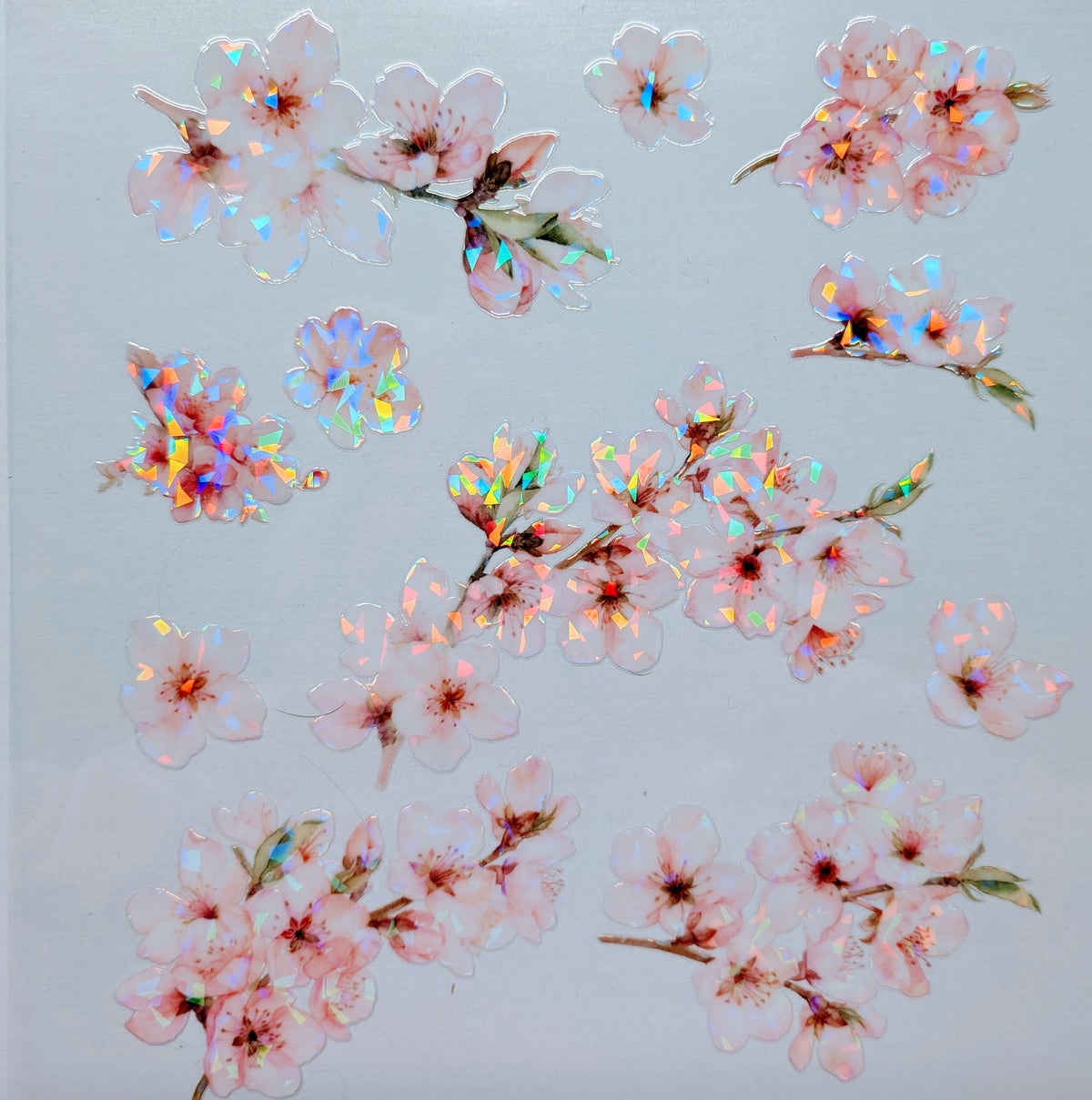 #93 Cherry Blossoms Holographic